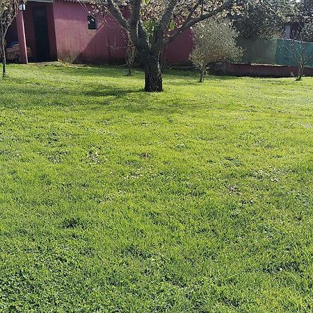 Alojamiento Entero Con Piscina Y Jardin. Ourense Exterior photo